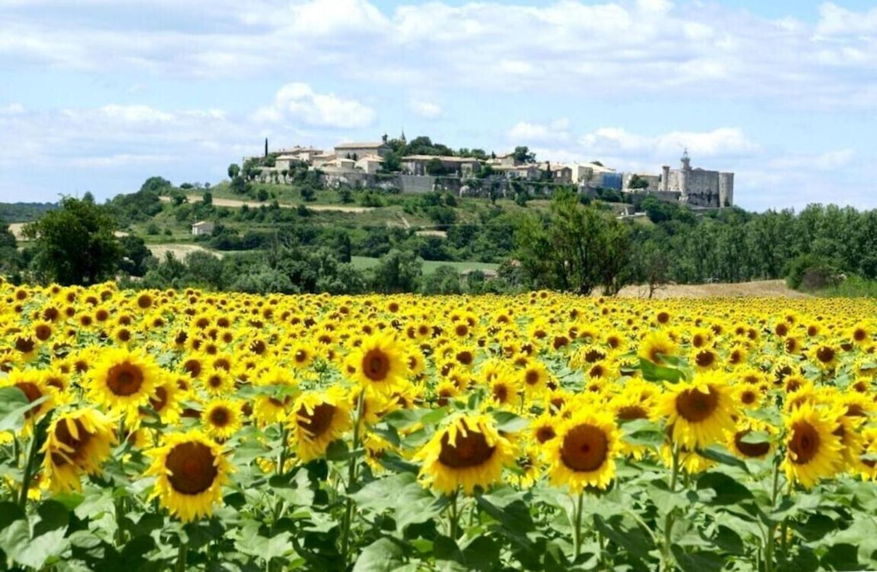 Villa Charmante A Lussan Avec Piscine Privee Et Jardin Closa Buitenkant foto